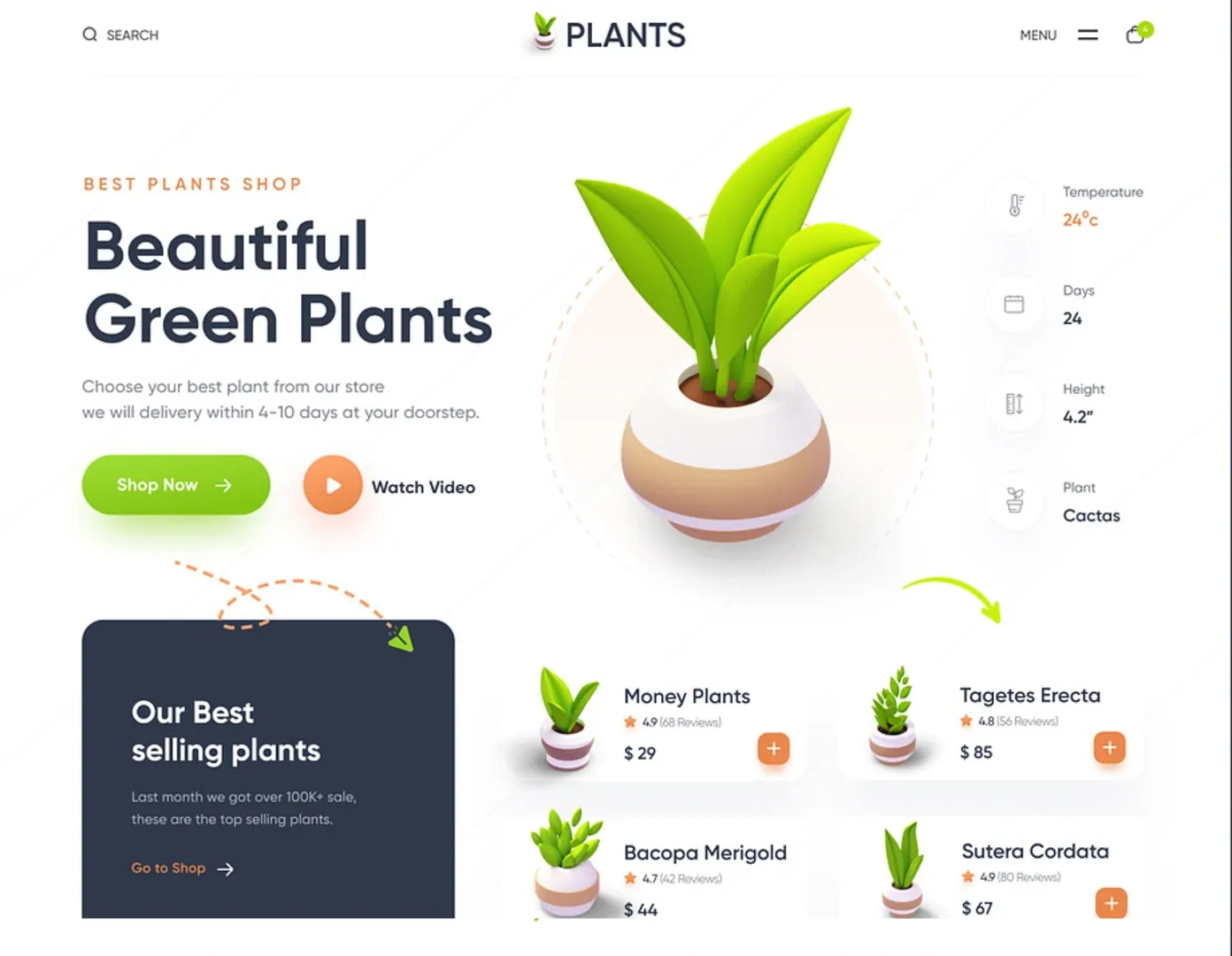 Plants project
